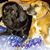 Kindra Gudenkauf's profile image