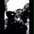 Kia Murphy's profile image