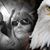 Patricia Weber Knutsen's profile image