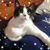 Christine James's profile image