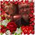 Debbie Wilkins Johnson's profile image