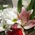 Clau Briones's profile image