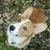 Lynne Mallory's profile image