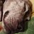 Robert Scott Stiff's profile image