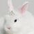 Kathy Lorenz's profile image