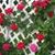 Patricia Edwards's profile image