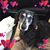Deborah Elizabeth's profile image