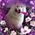 Colleen Martin's profile image