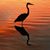 Joanie Carney's profile image