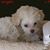Jill Rodstein's profile image