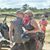 Kelly Colby-Frawley's profile image