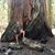 Christopher Rocky Mount's profile image