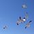 Malia Doane's profile image