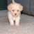 Sherilyn Johns Clark's profile image