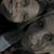 Sonia Fischer's profile image