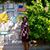 Rosalind Dancy's profile image