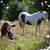 MaryJane Weigert Beattie's profile image