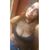 Diana Rodriguez's profile image