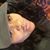 Akeya Highly Flavored Ballew's profile image