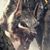 Matthew Millard's profile image