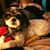 Michelle Young's profile image