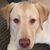 Amanda Clemens's profile image