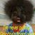 Steve Gengler's profile image