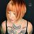 Shana Bohr's profile image