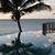 Shirley Barbee Jenkins's profile image