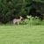 Cynthia M. Elliott's profile image