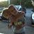 Dionne Buskirk Kiloh's profile image