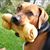 Doug Smith's profile image