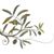 AnnaLynn Laeger Morris's profile image