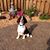 Sue Lynn's profile image