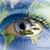 Sandy Holley's profile image