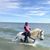 Dottie Orzechowski's profile image