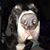 Lee Morrow's profile image