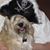 Vivian Ziel's profile image