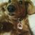 Chuck Mello's profile image