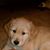 Max Kras's profile image