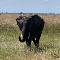 Za Ra Velji's profile image