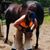 Laura Young's profile image
