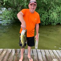 Scott Kneller's profile image