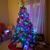 Neena Pontious's profile image