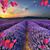 Skie Laubach's profile image