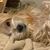 Terrie Merrimee's profile image