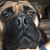 Greg Uhler's profile image
