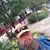 William Greathouse's profile image