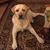 Donna Dwyer's profile image