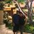 Lizz Fanger's profile image